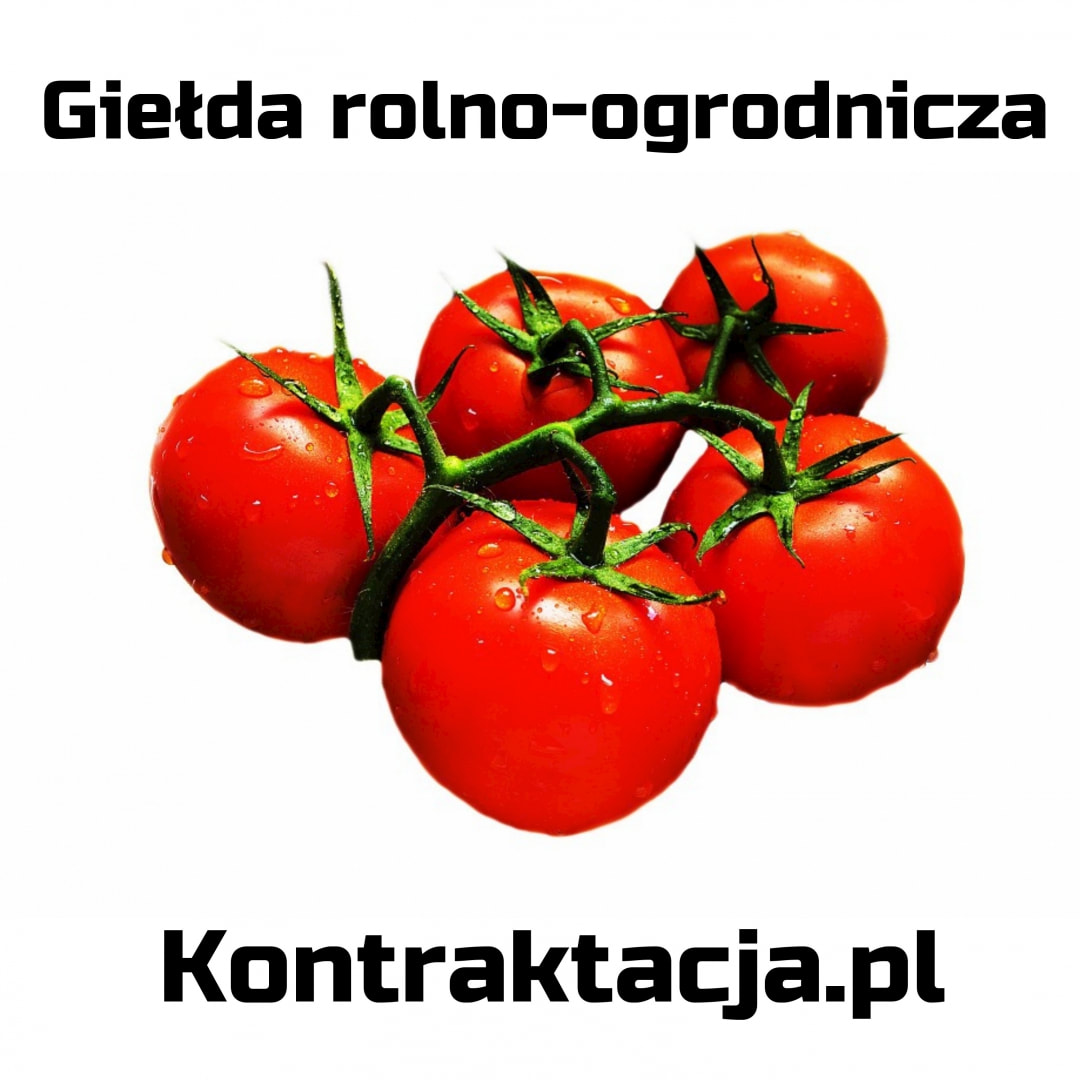 giełda rolno ogrodnicza Kontraktacja.pl
